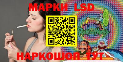 дмт Донской
