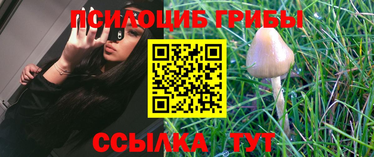 Псилоцибиновые грибы ЛСД Тельмана